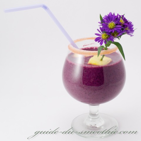 Smoothie Bleuets ananas